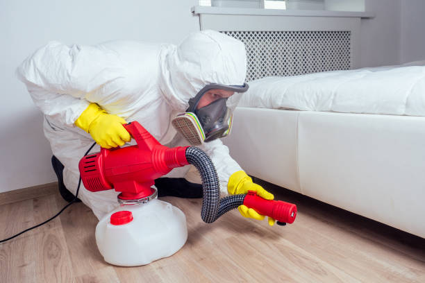 Best Residential Pest Control  in Olean, NY